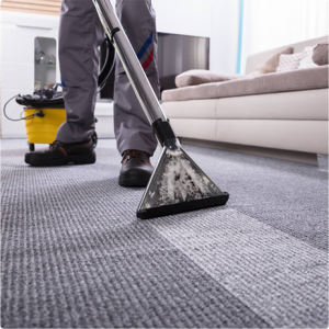 carpet being steam cleaned