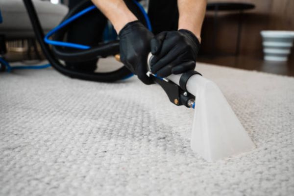 Professionals for Carpet Cleaning
