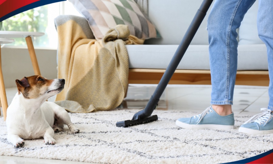 Carpet Stains