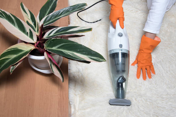 Carpet Cleaning
