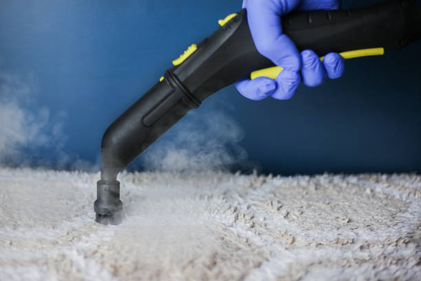 Carpet Cleaning Service