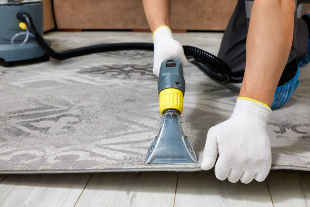 Carpet Cleaning Service in Arncliffe