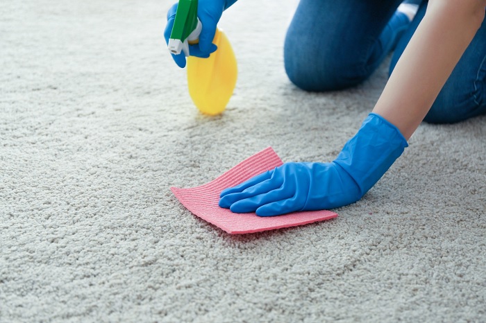 Carpet Cleaning