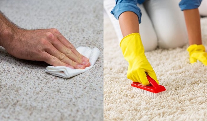 Carpet Cleaners
