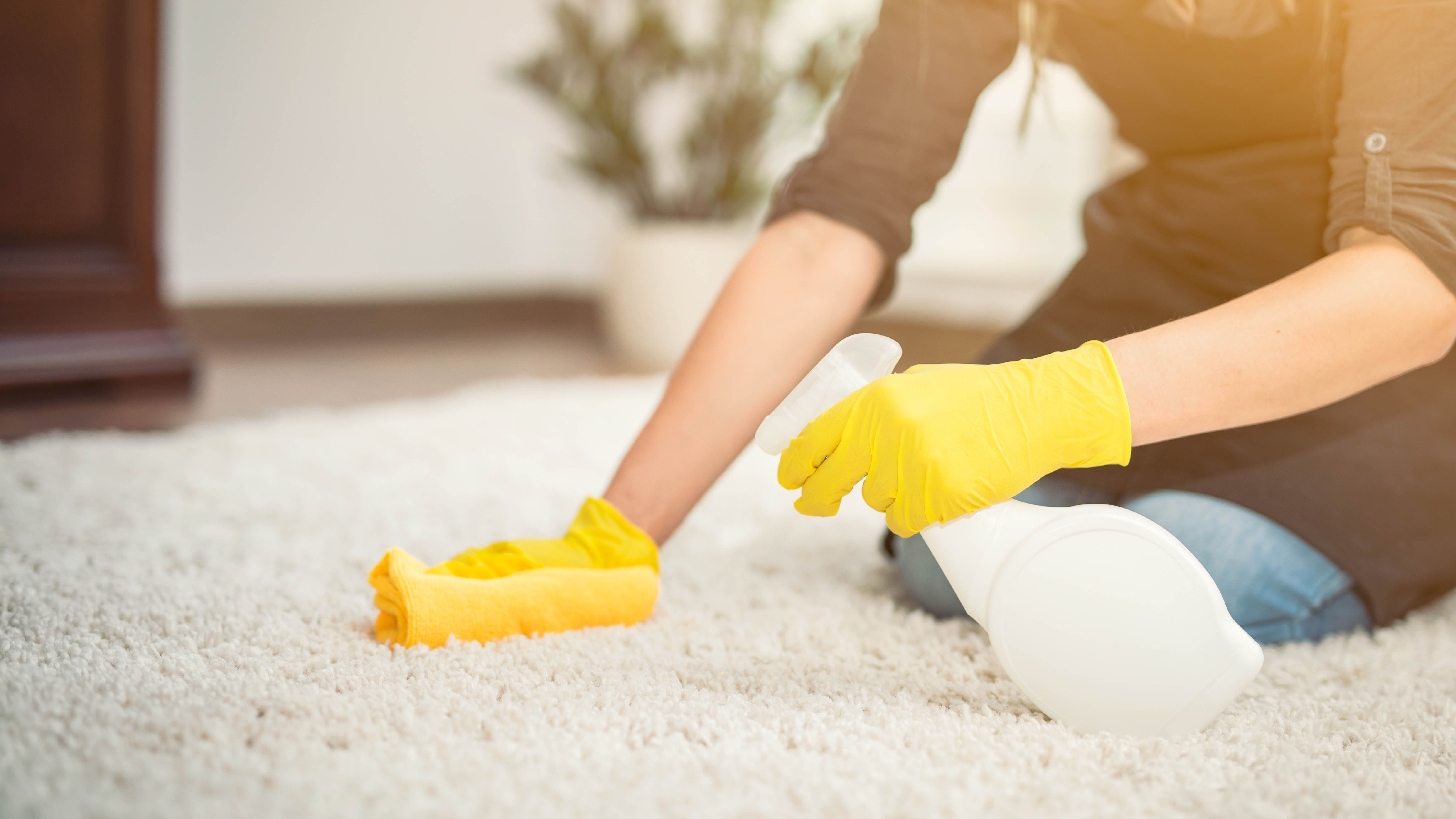 carpet cleaning