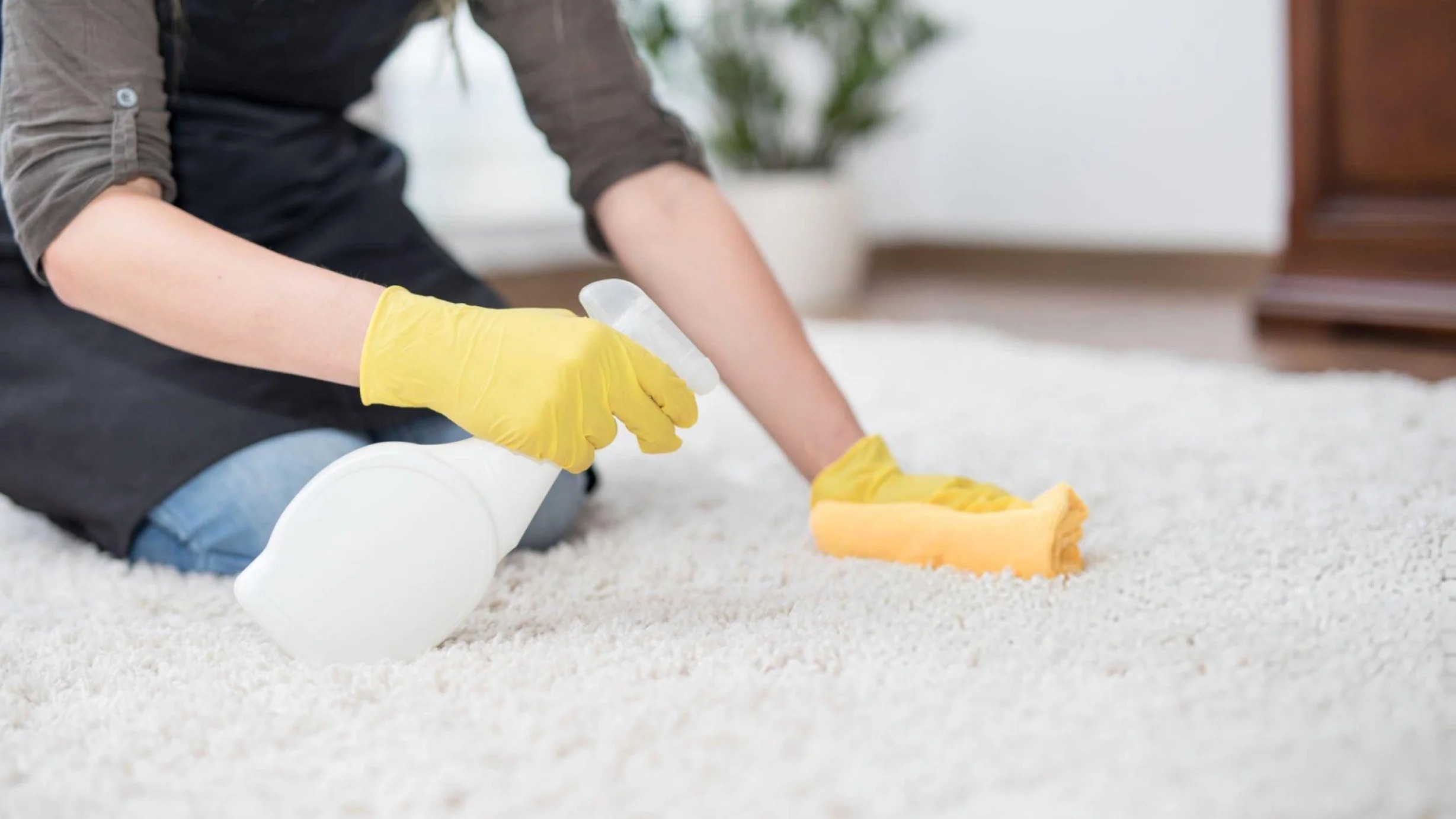 carpet cleaning
