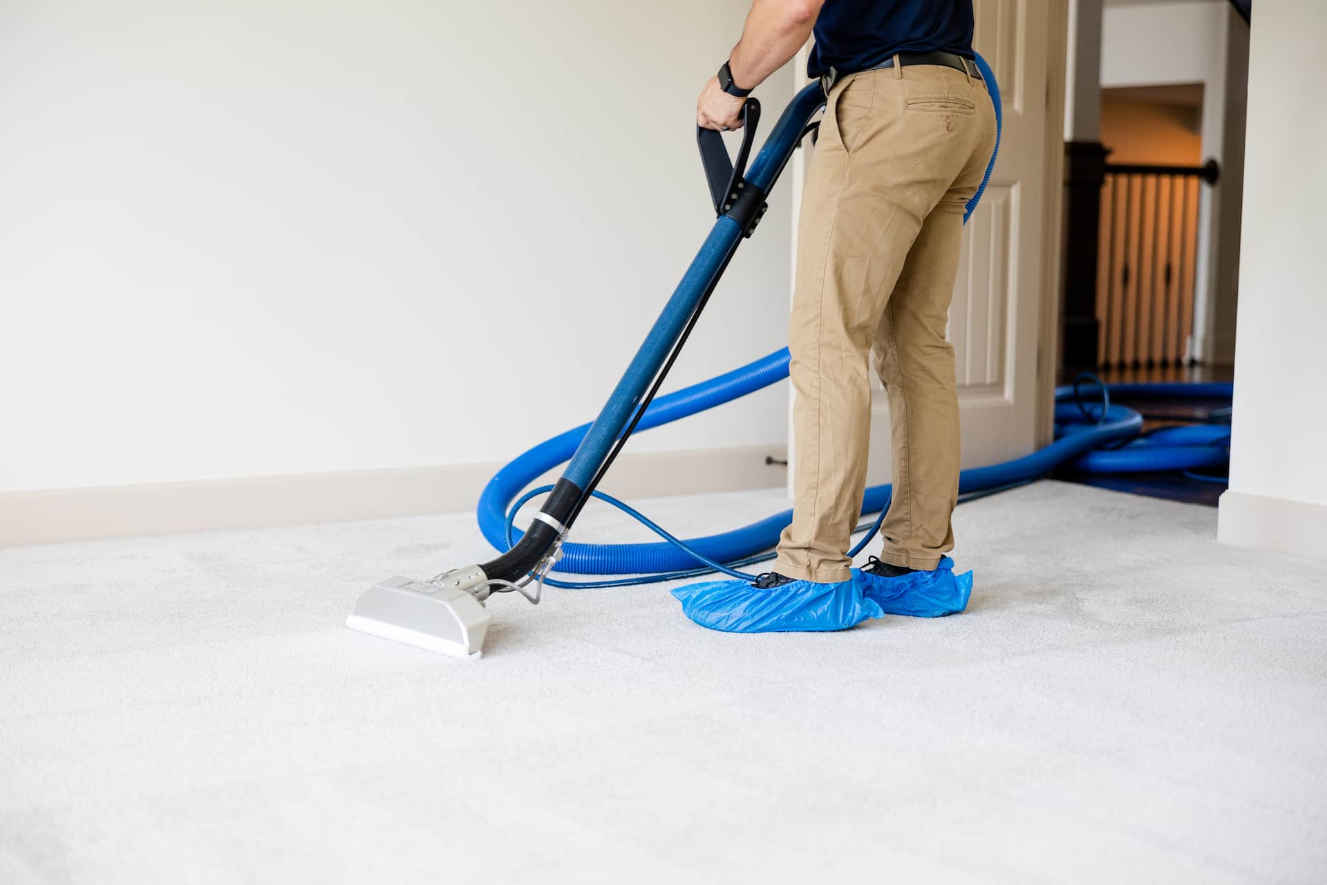 carpet cleaning