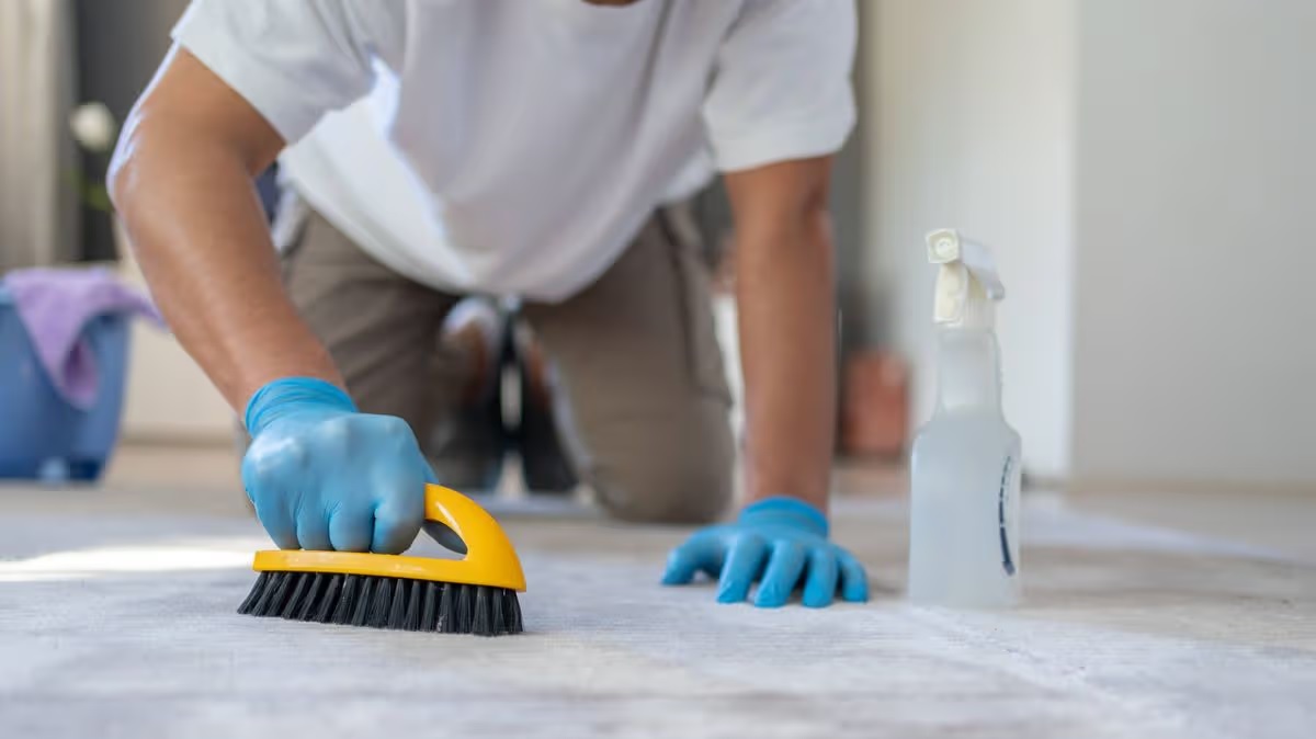 DIY Carpet Cleaning Vs. Professional Cleaning