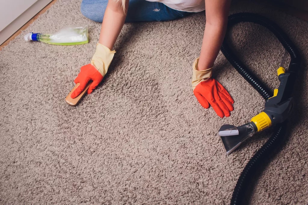 Steam Cleaning