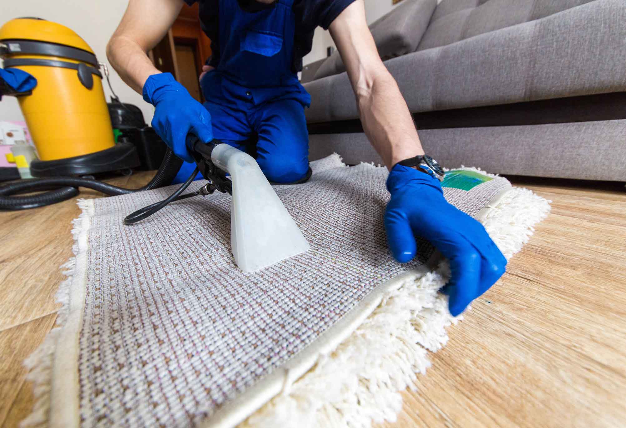 Simple Rug Cleaning
