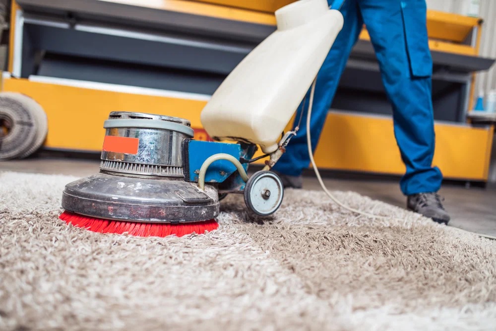 Carpet Cleaning for Home Renovations